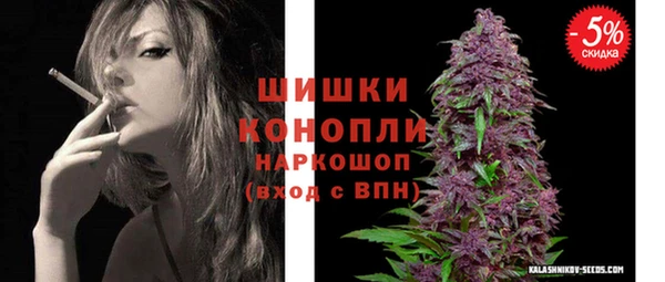 спиды Гусев