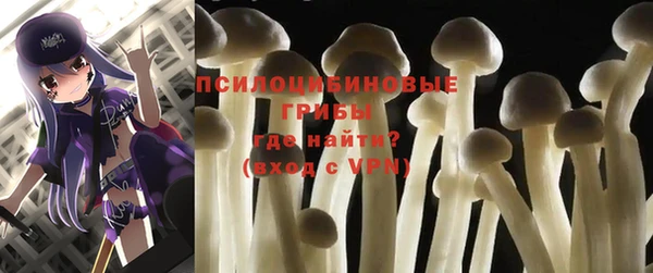 спиды Гусев