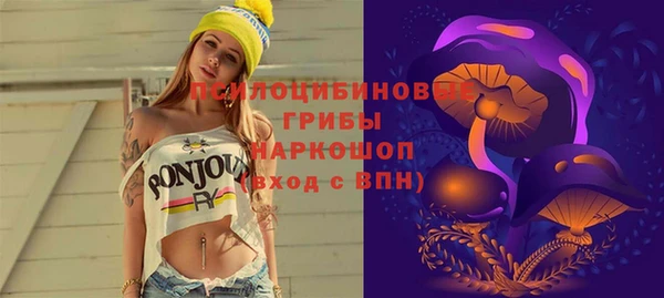 бошки Гусь-Хрустальный