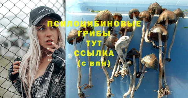 скорость Гусиноозёрск