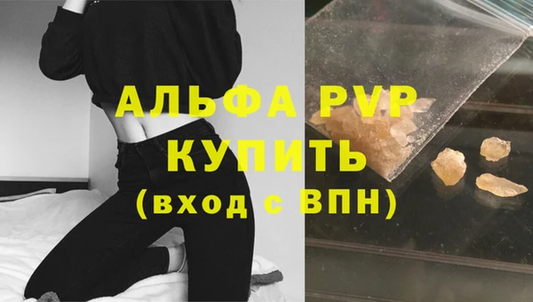 спиды Гусев