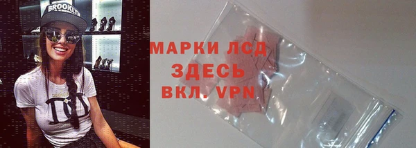спиды Гусев