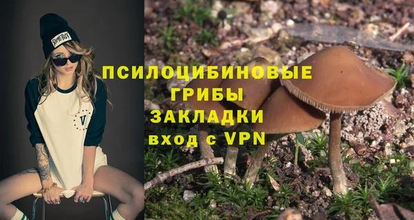 бошки Гусь-Хрустальный