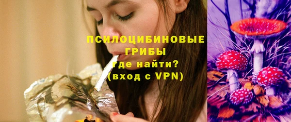 спиды Гусев
