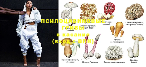 бошки Гусь-Хрустальный